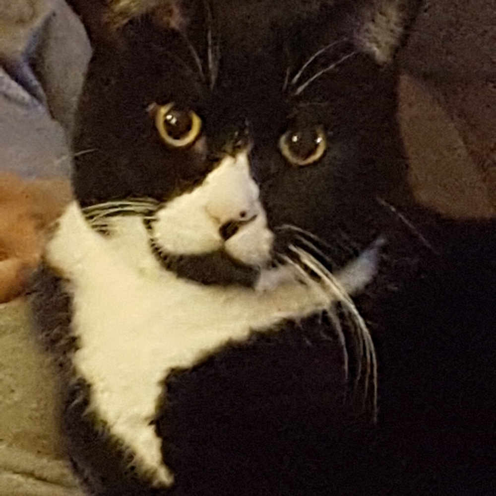 Meet your Posher, Jennie